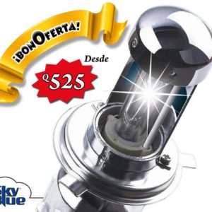 Luces Xenon HID  (un contacto)
