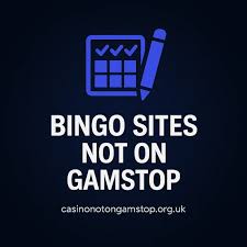 What Bingo Sites Are Not Understanding the Landscape -724257824